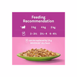 WHISKAS 1+ Mixed Selection in Jelly 48 x 85 g Pouches, Adult Cat Food, Pack of 4 (12 x 85 g)
