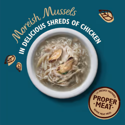 Lily's Kitchen Shredded Fillets Multipack Grain Free Natural Adult Wet Cat Food Chicken Chicken & Mussels Chicken & Ham Tuna & Salmon(16 Tins x 70 g)