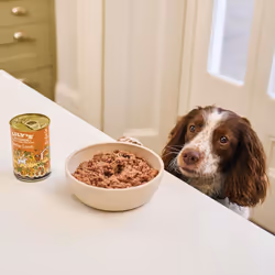 Lily's Kitchen Natural Adult Wet Dog Food Tin Sunday Lunch Grain-Free Recipe 6 x 400g