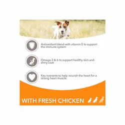 IAMS Complete Dry Dog Food for Adult 1+ Small and Medium Breeds with Chicken 5 kg