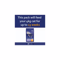 Purina ONE Adult Dry Cat Food Rich in Chicken 6kg, Pack of 1