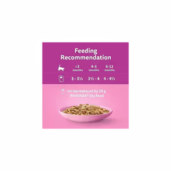 Whiskas Junior Poultry Selection in Jelly 84 Pouches, Wet Kitten & Cat Food, Selection of Chicken, Duck, Poultry & Turkey, Megapack (84 x 85 g)