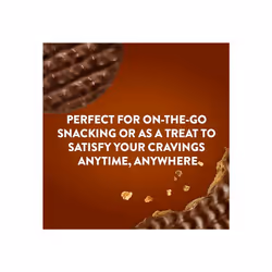 McVitie's Milk Chocolate Digestives To Go, 33.3 g (Pack of 24)