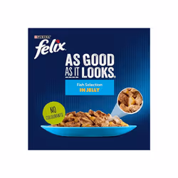 FELIX As Good As it Looks Ocean Feasts Wet Cat Food 120x100g