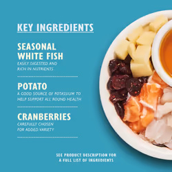 Lily's Kitchen Made with Natural Ingredients Adult Dry Cat Food White Fish with Salmon Grain-Free Recipe 2kg