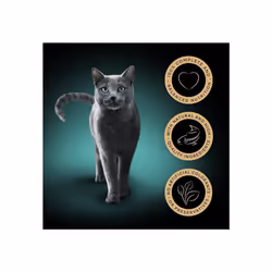 Sheba Fine Flakes in Jelly Fish Collection Wet Cat Food Pouches for Adult Cats 85 g (Pack of 40)