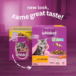 Whiskas Junior Chicken Pack of 5 x 800 g Bags, Kitten Cat Dry Food