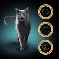 SHEBA Fresh & Fine Cat Pouches with Beef in Gravy, 22 x 85g