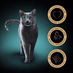 Sheba Fine Flakes in Jelly Poultry Collection Wet Cat Food Pouches for Adult Cats 48 x 85 g Pack