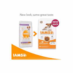 IAMS Complete Dry Dog Food for Puppy Small and Medium Breeds with Chicken 12 kg