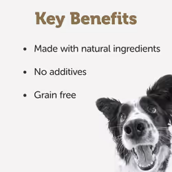 Applaws Natural Wet Dog Food Tin, Grain Free Meat Selection with Vegetables in Jelly 156g (8 x 156g Tins)