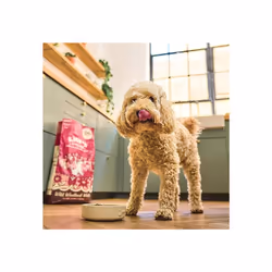Lily's Kitchen Made with Natural Ingredients Adult Dry Dog Food Duck Salmon & Venison Grain-Free Recipe 4kg (pack 4x1kg)
