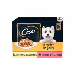 CESAR Pouch Selection in Jelly, Fresh Adult Wet Dog Food Pouches in Delicious Jelly with Succulent Meats and Vegetables, 48 x ...