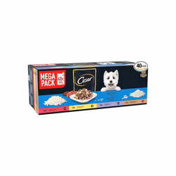 CESAR Senior Dog Pouches Sauce Selection in Jelly 40x100g