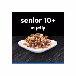 CESAR Senior Dog Pouches Sauce Selection in Jelly 40x100g