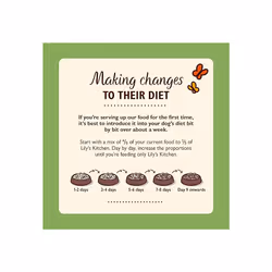 Lily's Kitchen Natural Adult Dog Food Wet Tins - Cottage Pie - Complete Meal Recipes (6 Tins x 400g) (Pack of 2)