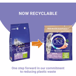 Purina ONE Pack of 4 Sensitive Dry Cat Food Rich in Turkey 750g