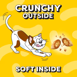 Dreamies Cat Treats, Tasty Snacks with Delicious Salmon Flavour, Pack of 2 (2 x 350 g)
