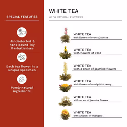 Creano Blooming Tea Gift Set ? Flowering Tea Giftset with 500 ml Glass Tea Pot and Heart-Shaped Wooden Box with 6pcs Tea Flowers - White Tea