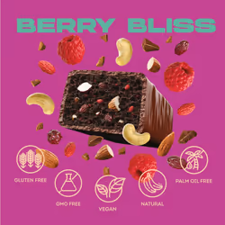 Vive Better Brownie Chocolate Berry Bliss with Immunity Vitamins - Low Calorie Vegan Treat - Healthy Protein Snack - Pack of 15