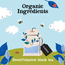 Clipper Organic Everyday Decaf Tea Bags | Natural, Unbleached, Plant-Based Biodegradable & Non GM Black Tea Bags | | Eco Conscious, Organically Grown
