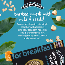 Eat Natural Nuts & Seeds Breakfast Cereal with Honey - High in Fibre Breakfast Muesli - Suitable for Vegetarians ,450 g (Pack of 5)