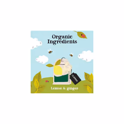 Clipper Organic Pure Green Tea (Pack of 6) & Organic Lemon & Ginger Tea Bags, 6 x 20 Teabags