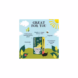 Clipper Organic Fairtrade Green with Lemon 20 Tea Bags (Pack of 6) & Organic Infusion Peppermint 20 Tea Bags (Pack of 6)
