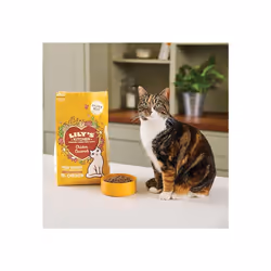Lilys Kitchen Smooth Chicken PatÃ© Complete Adult Cat Food 19 x 85g