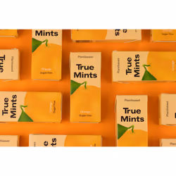 True Mints Orange Flavour (12-pack) - Sugar Free Mints - Xylitol Mints - Fruit Pastilles - Sugar Free & Plantbased Travel Sweets with Natural Flavours
