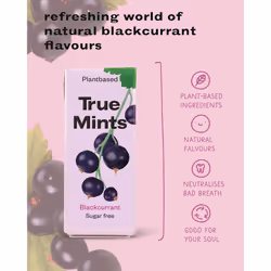 True Mints Blackcurrant Flavour (12-pack) - Sugar Free Mints - Xylitol Mints - Fruit Pastilles - Sugar Free & Plantbased Travel Sweets with Natural
