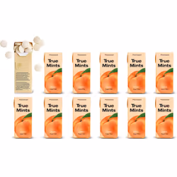 True Mints PEACH Flavour (12-pack) - Sugar Free Mints - Xylitol Mints - Fruit Pastilles - Sugar Free & Plantbased Travel Swee ...
