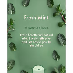 True Mints Mixed Flavours (12-pack) - Sugar Free Mints - Xylitol Mints - Fruit Pastilles - Sugar Free & Plantbased Travel Sweets with Natural Flavours