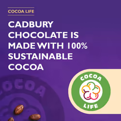 Cadbury Flake 99 Milk Chocolate Bar,144 x 8.25g