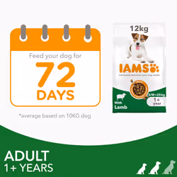 IAMS Complete Dry Dog Food for Adult 1+ Small and Medium Breeds with Lamb 12 kg
