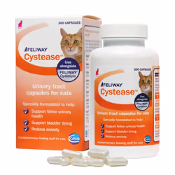 Feliway Cystease 300 Capsule Pack, 300 Feliway Cystease Capsules For Cats Urinary Tract Infection Treatment, Cat Supplements  ...