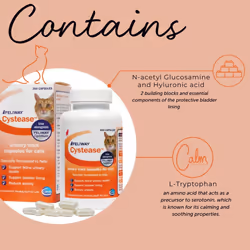 Feliway Cystease 300 Capsule Pack, 300 Feliway Cystease Capsules For Cats Urinary Tract Infection Treatment, Cat Supplements To Help Stress Related Bl