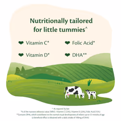 HiPP Organic 2 Follow On Baby Milk Powder Formula, from 6 Months, 800g (Pack of 6)