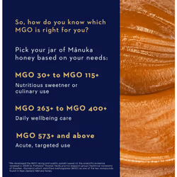 Manuka Health Manuka Honey Mgo 400 (20+) 250g