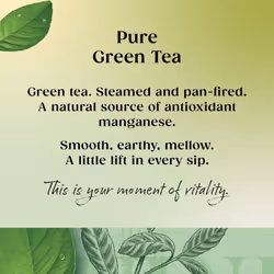 Twinings Pure Green Tea 320 Tea Bags (Multipack of 4 x 80 Tea Bags)