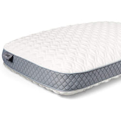 Sealy Molded Memory Foam Pillow, 16 inches x 24 inches x 5. 75 inches, White, Grey