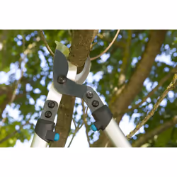 GARDENA Premium Pruning Lopper 700B: Bypass secateurs for gentle, precise trimming of plants, precision-ground blade, double-bend, stable aluminum