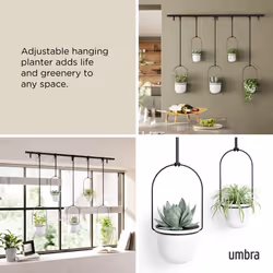 Umbra Hanging Planter, for Succulents, Herbs and Other Small Plants, Polypropylene Metal, Weiss, 5 Pots