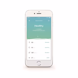 Indoor Air Quality Monitor, Temperature, Humidity, Noise and Co2 Sensors, Healthy Home Coach - Netatmo