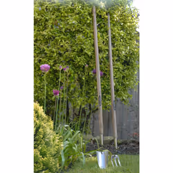 Spear & Jackson 5510WF Traditional Stainless Steel 42" Handle Long Handled Weed Fork