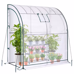 Lean to Greenhouse with Greenhouse Shelving: Ohuhu Portable Walk-in Green House with Mesh Windows 200x100x210 cm Reinforced L ...