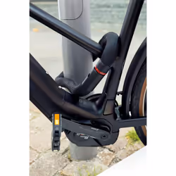 ABUS Goose Lock chain lock - flexible, rattle-free bicycle lock made of hardened steel - 6 mm thick - with key