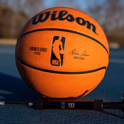 Wilson Basketball, NBA Authentic Series Model, Outdoor, Tackskin Rubber, Size: 7, Brown