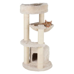TRIXIE Pet Products Baza Cat Scratching Posts