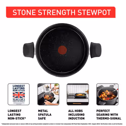 Tefal Titanium Stone Stewpot 24 cm + Lid, High-Performance Non-Stick Coating, Metal Spatula Safe, All Stovetops Including Induction, E1054645